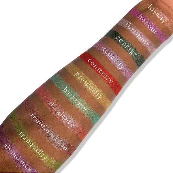 Viseart Coyish Étendu Palette