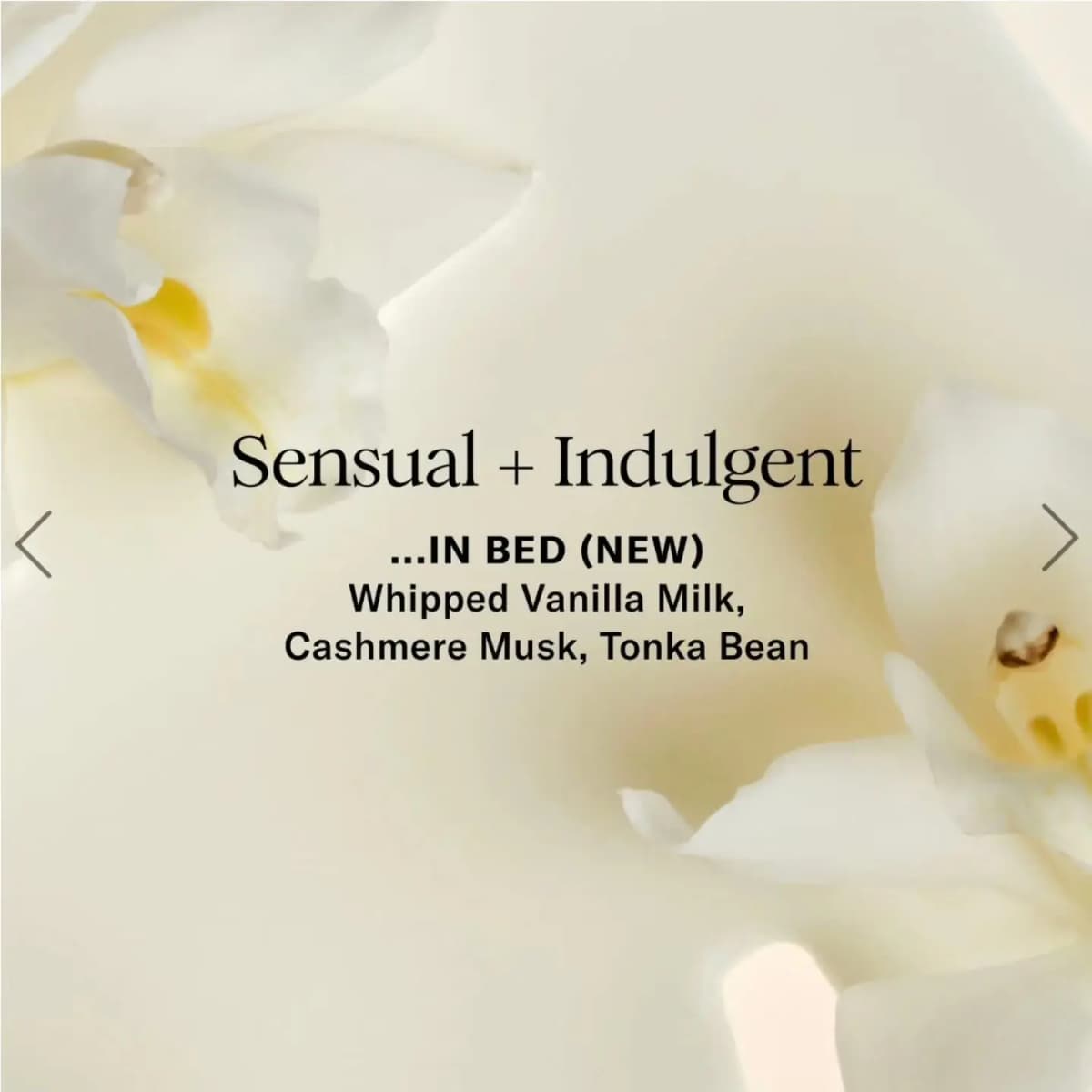 Creamy vanilla texture with white orchids introducing the new In Bed scent: vanilla milk, cashmere musk, tonka bean