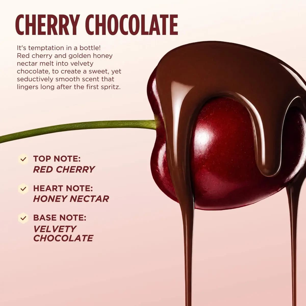 Gisou Cherry Chocolate scent notes graphic: red cherry top note, honey nectar heart note and velvety chocolate base note beside a cherry dipped in melted chocolate