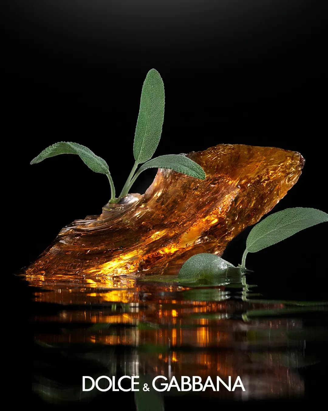 Shard of glowing amber resin sprouting sage leaves, reflected in dark water above the Dolce&Gabbana logo