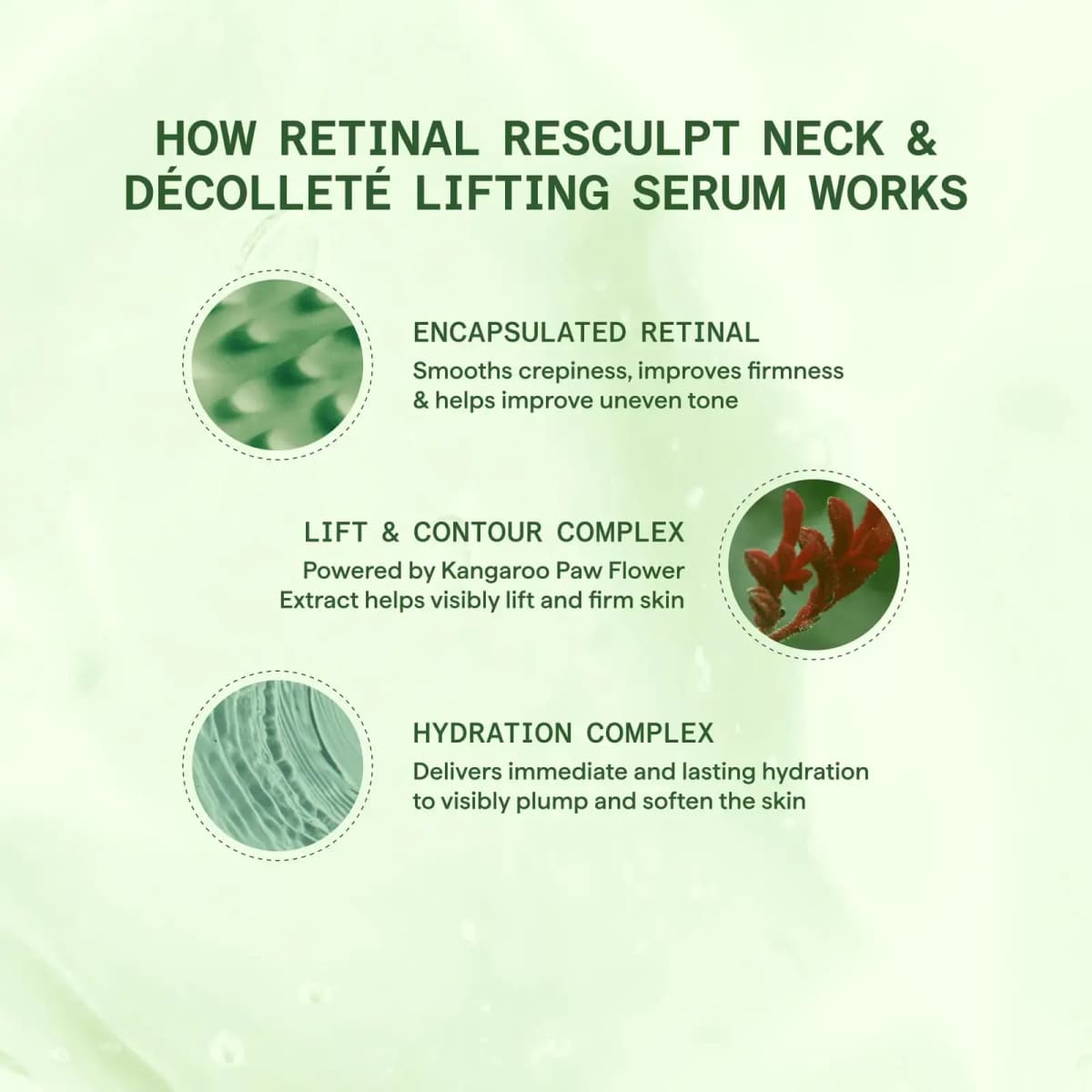 Pale green infographic on encapsulated retinal, Kangaroo Paw Flower lift complex and hydration complex