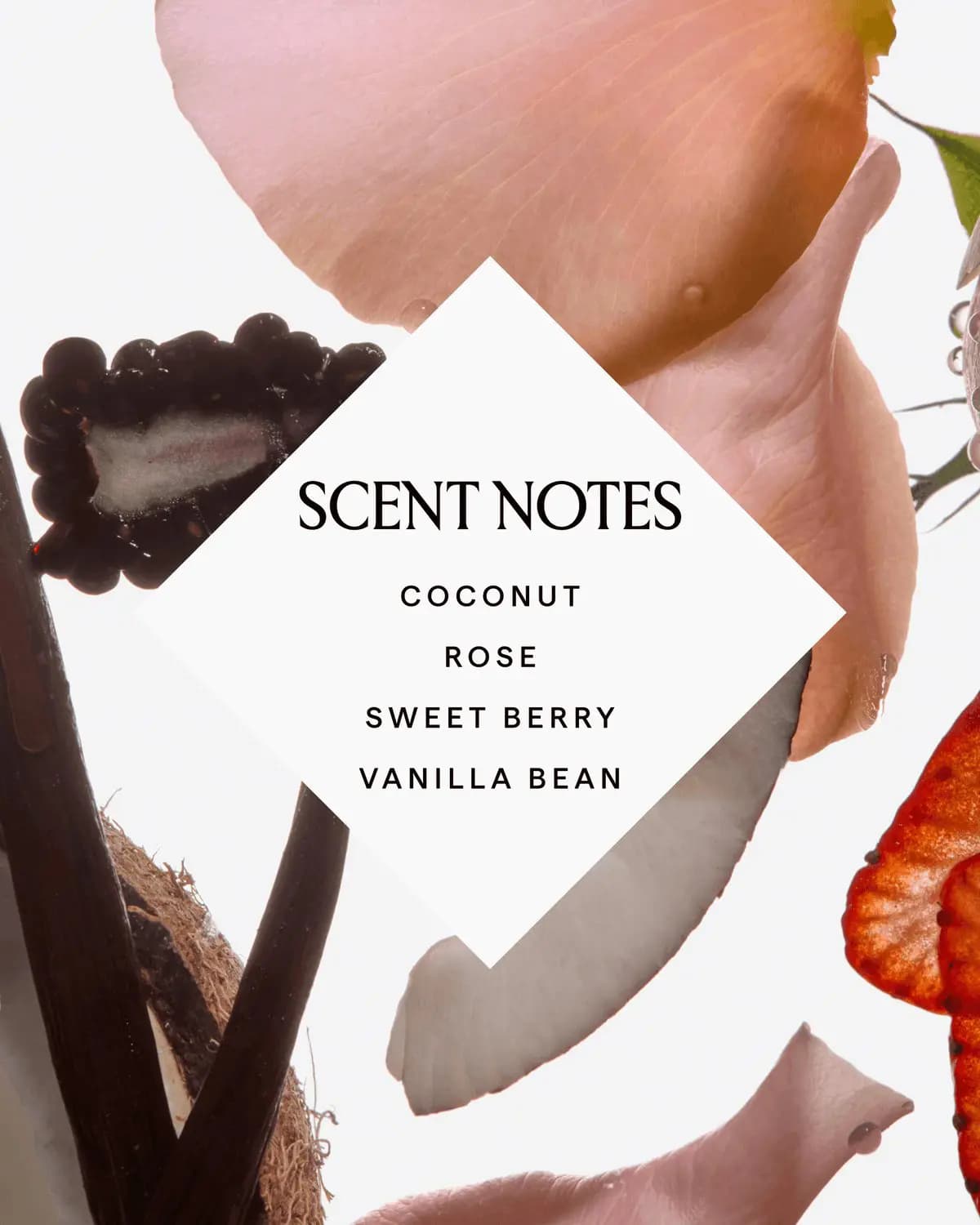 Scent notes card for coconut, rose, sweet berry and vanilla bean among petals, vanilla pods, coconut and strawberry