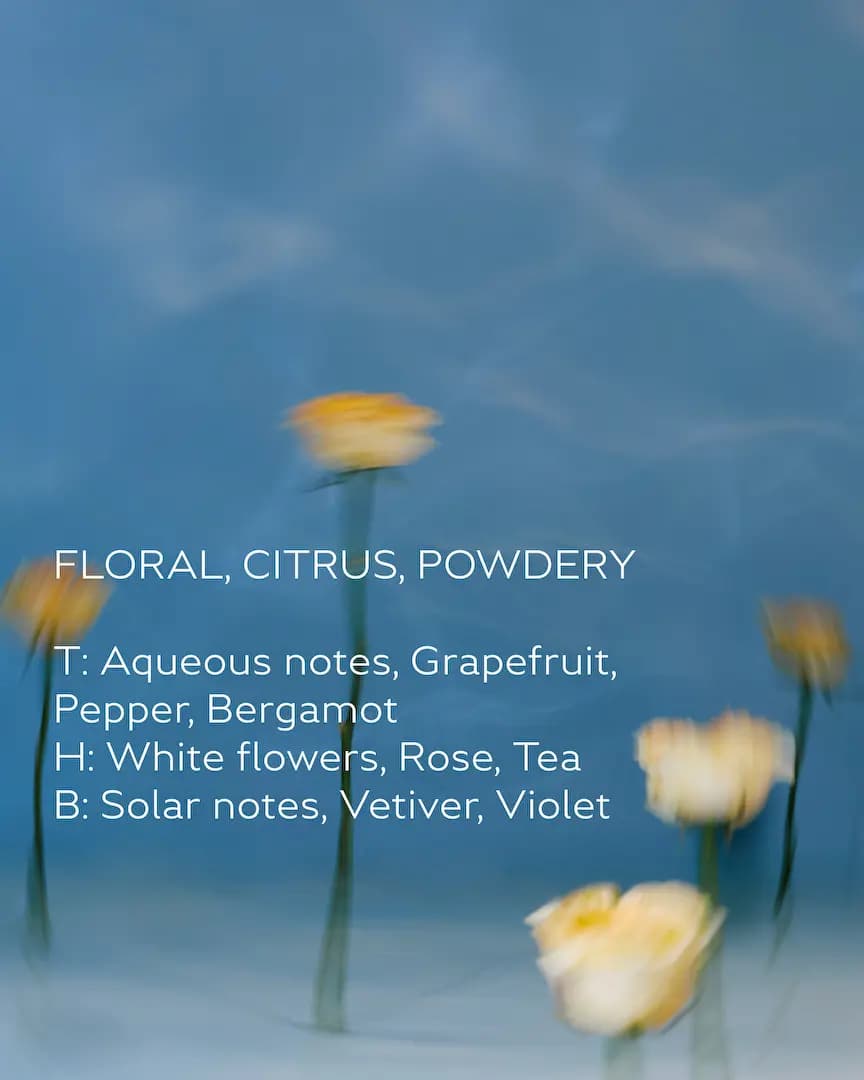 Floral, citrus, powdery notes list for 05.07 Watermere over blurred pale yellow roses on a blue water background