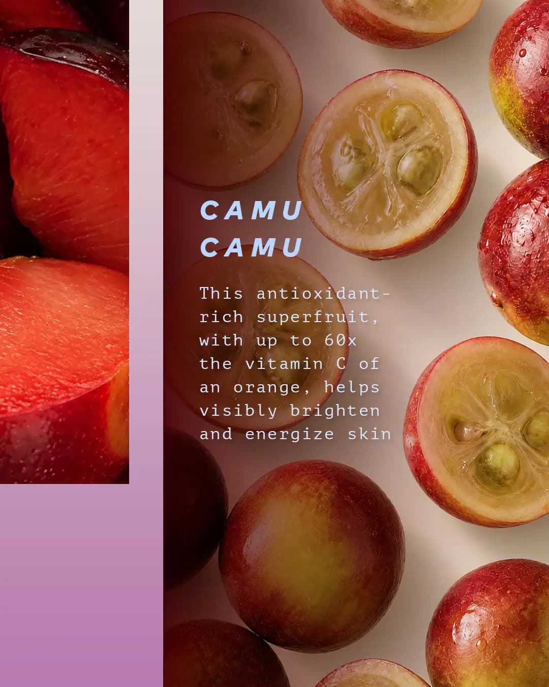 Halved and whole camu camu berries beside sliced red plum, with text on the fruit's vitamin C content