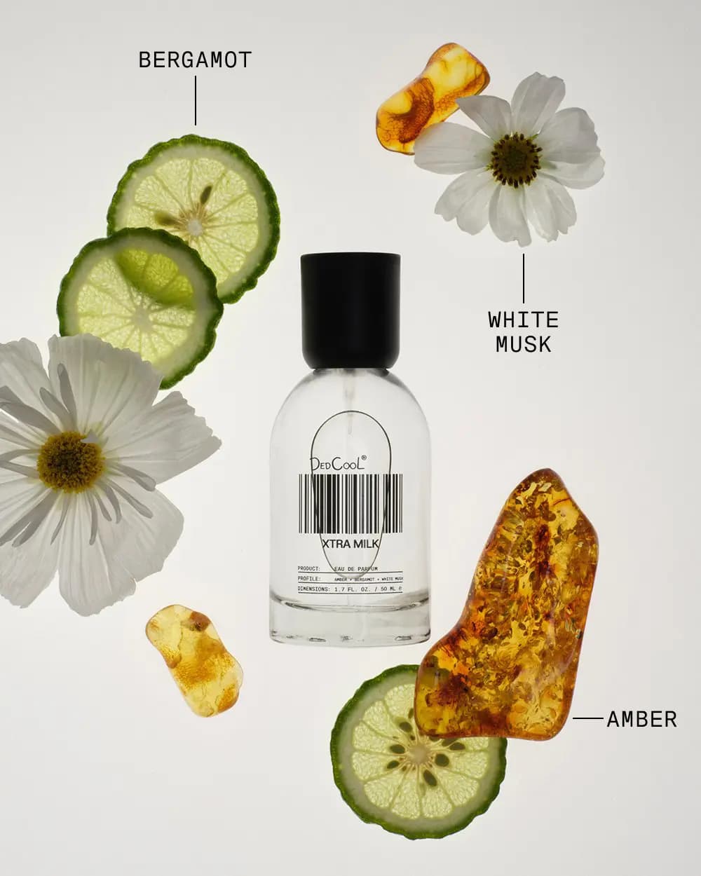 Xtra Milk bottle surrounded by bergamot slices, white flowers and amber stones labelled with notes