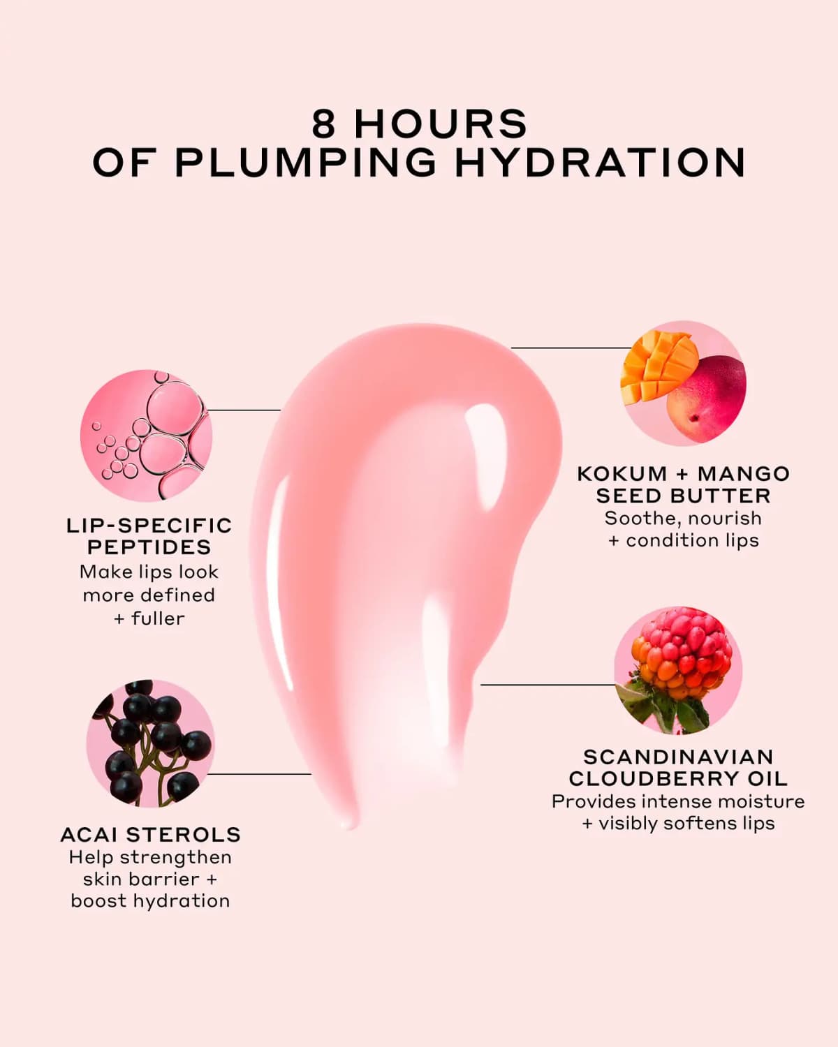 Pink gloss swatch labelled 8 hours of plumping hydration, with peptide, acai, kokum mango and cloudberry callouts