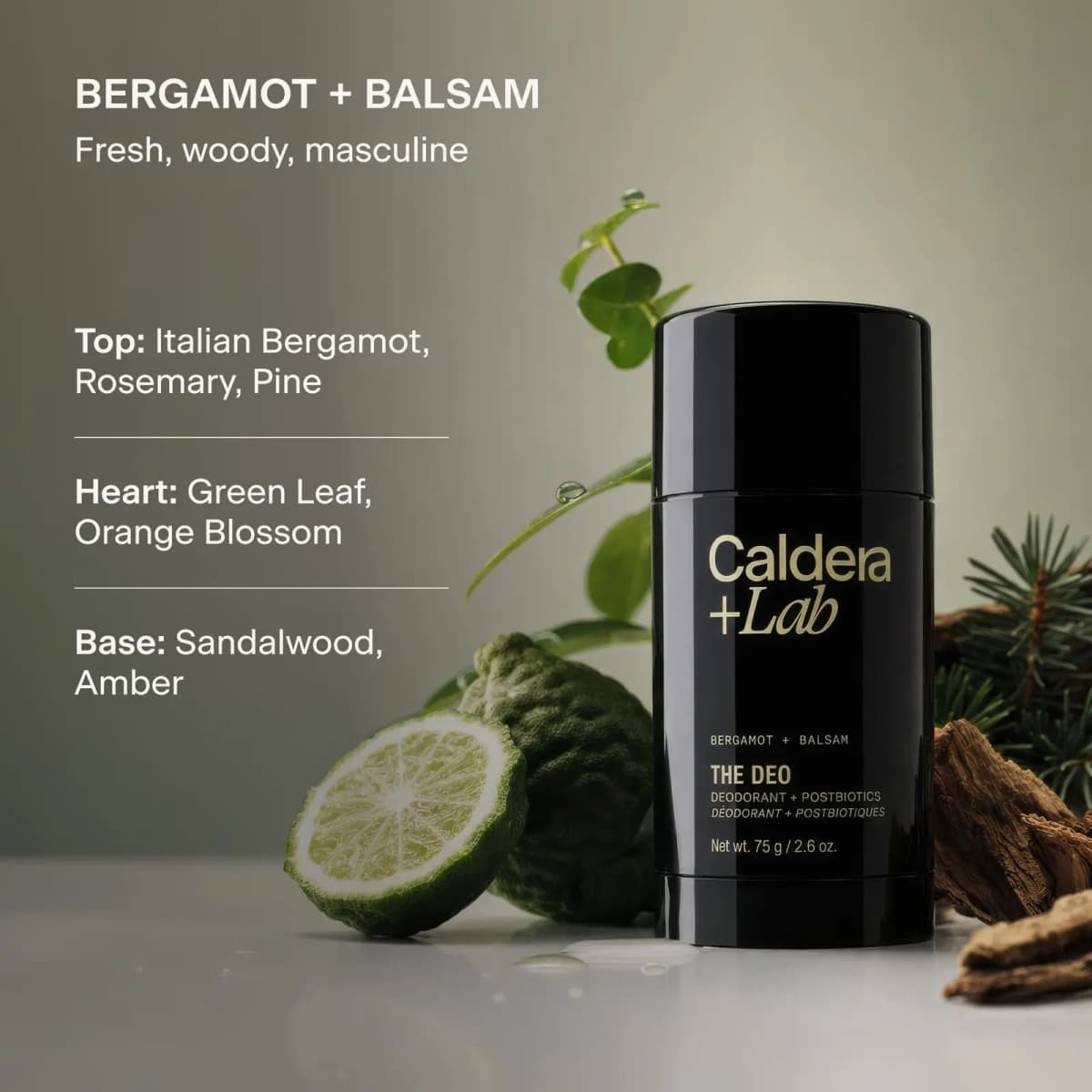 Black stick beside cut bergamot, eucalyptus and pine, with notes listed: bergamot, rosemary, orange blossom, sandalwood