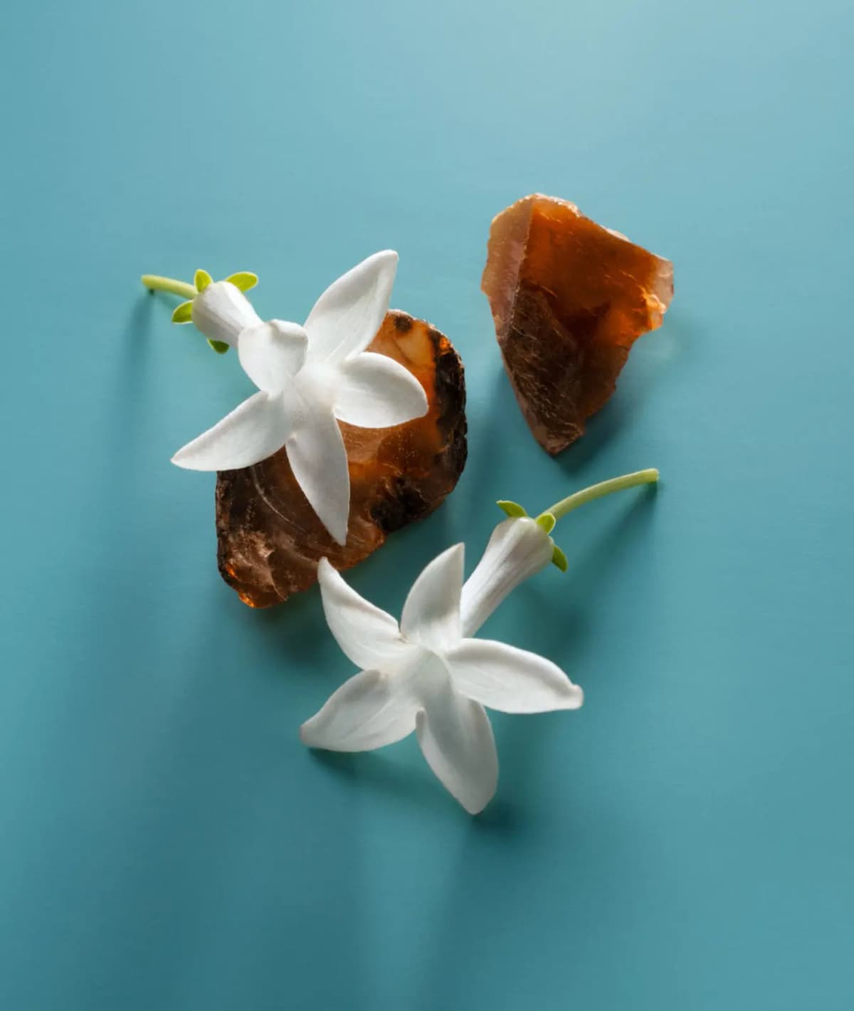 White jasmine flowers resting on raw amber chunks over a teal background