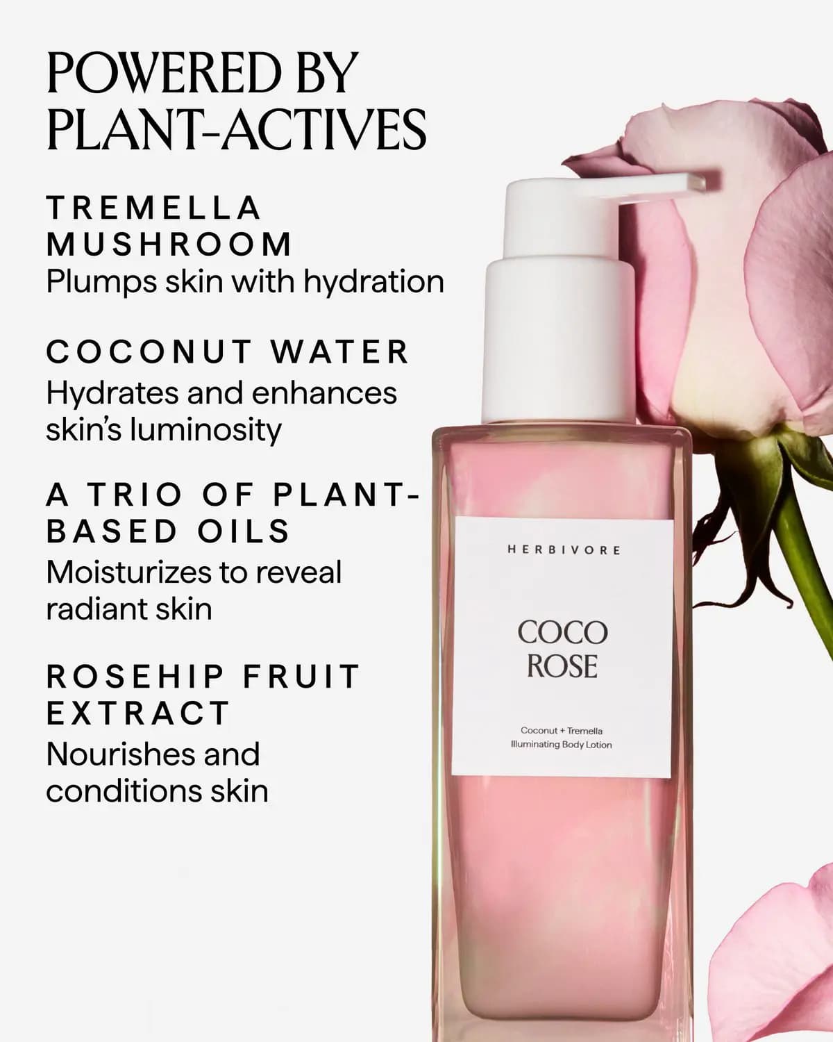 COCO ROSE bottle beside a pink rose with text listing tremella, coconut water, plant oils and rosehip extract