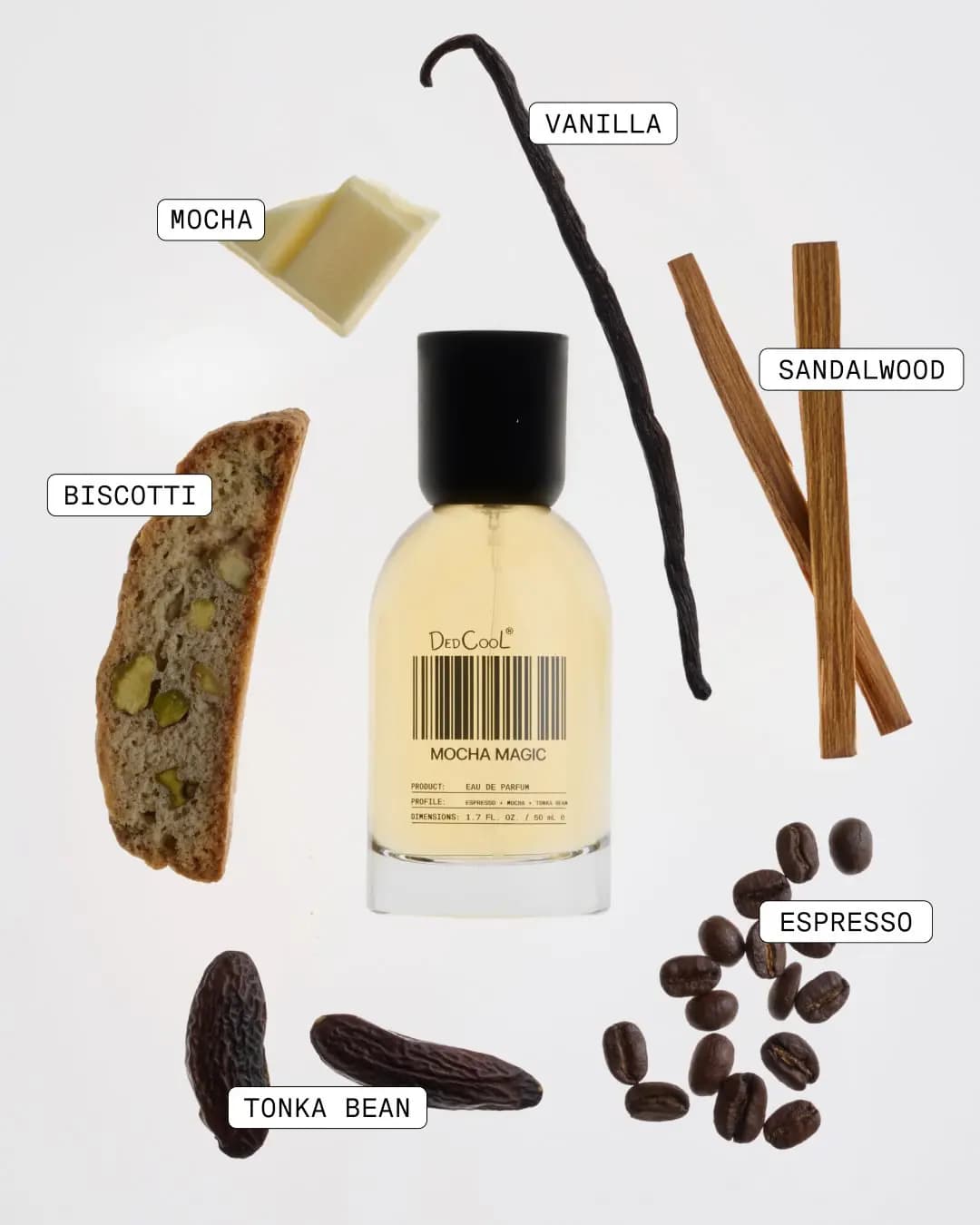 DedCool Mocha Magic bottle surrounded by scent notes: vanilla, mocha, sandalwood, biscotti, tonka bean, and espresso beans