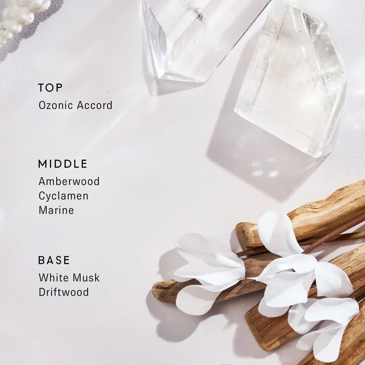 11 11 fragrance notes listed with clear crystals, driftwood and white cyclamen petals: ozonic, amberwood, white musk.