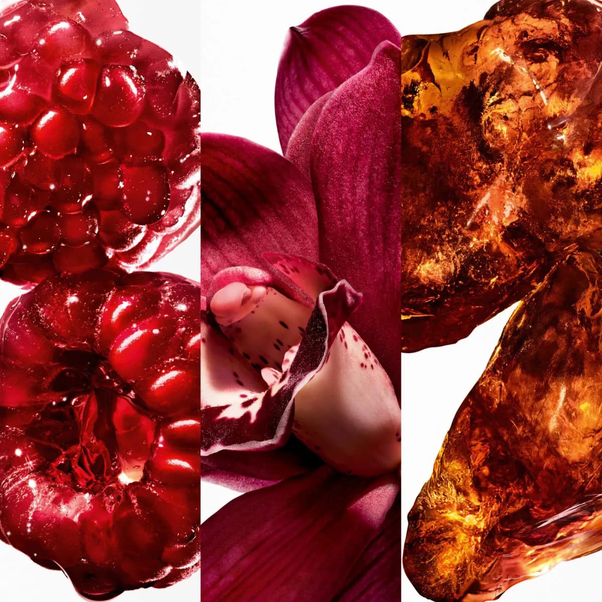 Triptych of glossy red berries, a deep magenta orchid and golden amber resin