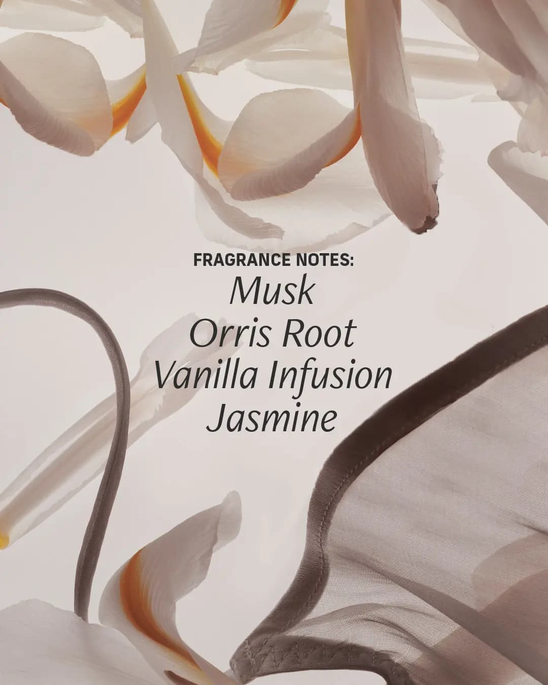Fragrance notes musk, orris root, vanilla infusion and jasmine over pale iris petals and sheer fabric