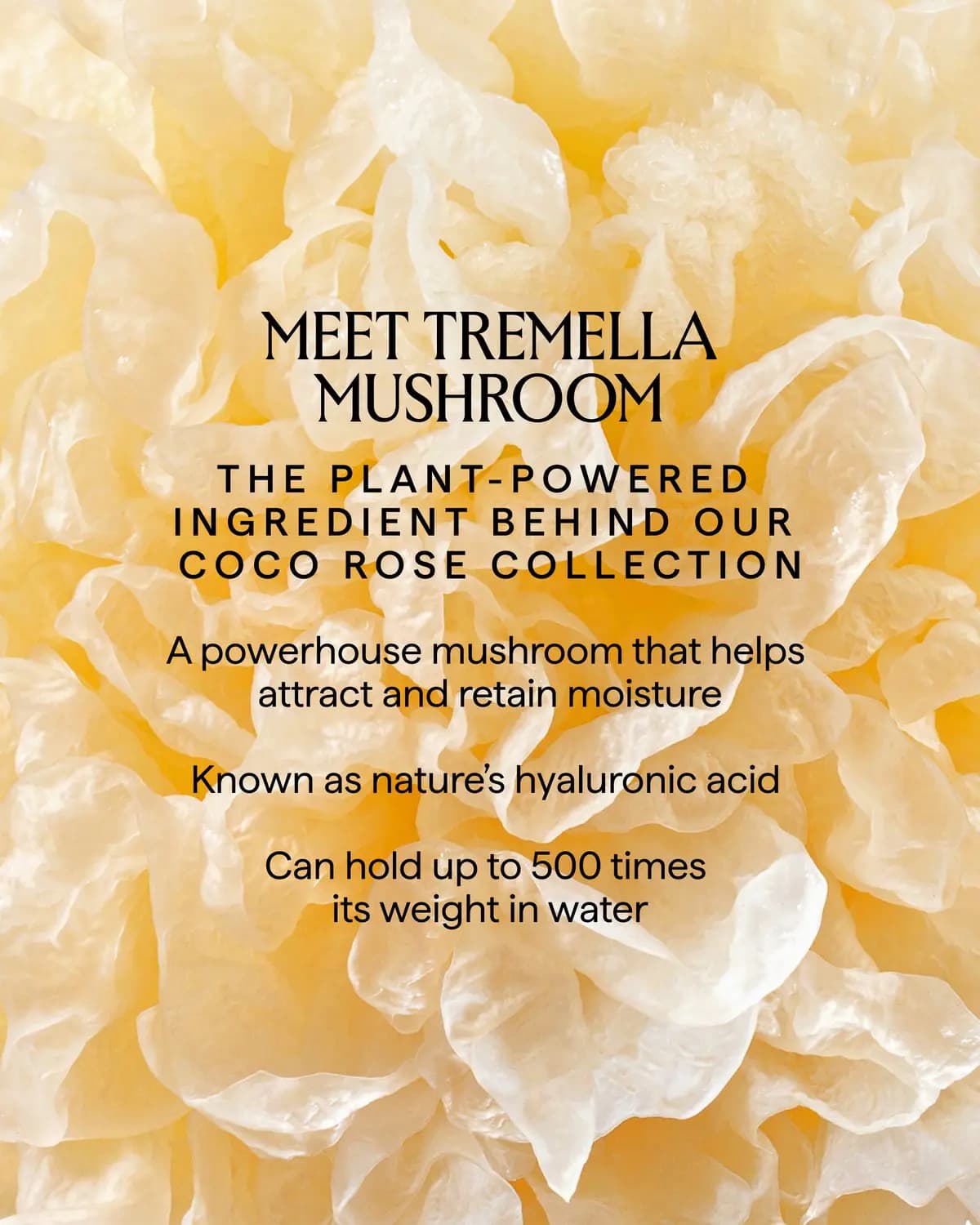Close-up of translucent tremella mushroom with text: Meet Tremella Mushroom, nature's hyaluronic acid