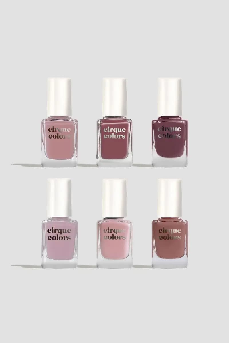 Six polish bottles in two rows, ranging from pale lilac and soft pink to rose, plum and brown