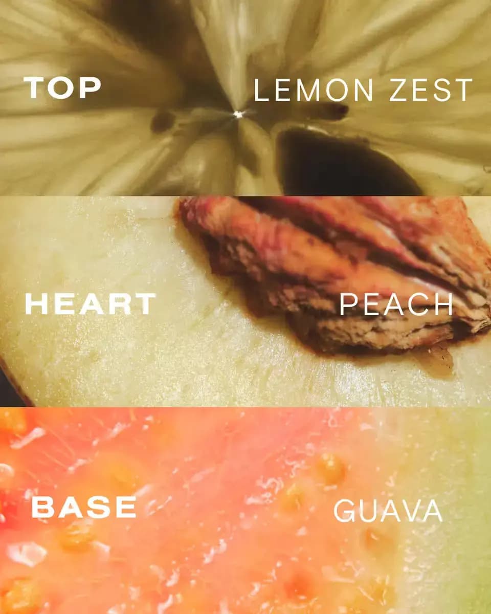 Close-up fruit textures of lemon, peach and guava labelled as top, heart and base scent notes