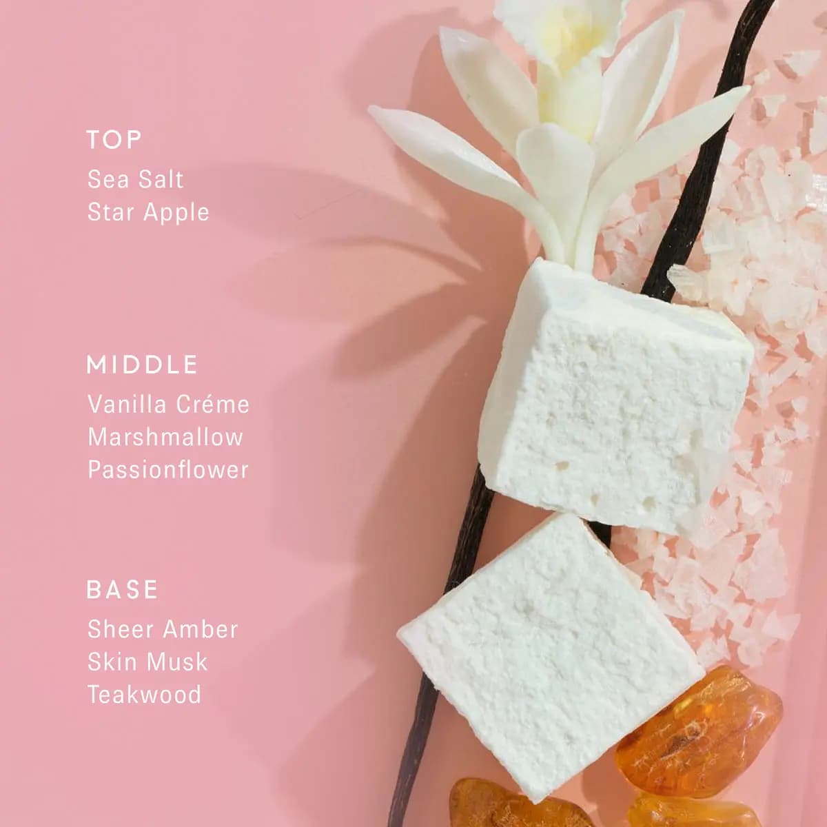 11 11 Vanilla scent notes on pink background with marshmallow cubes, vanilla pods, sea salt and amber stones.