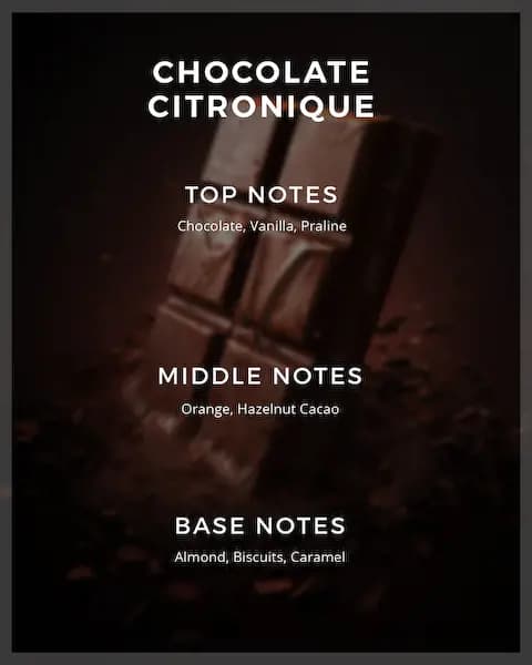 Sphinx Fragrances CHOCOLATE CITRONIQUE