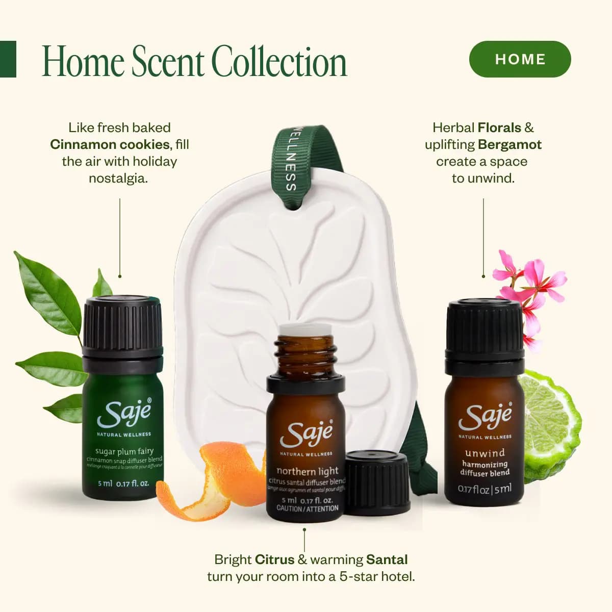 Sugar Plum Fairy, Northern Light and Unwind diffuser blends beside a white leaf-embossed ceramic hanging diffuser
