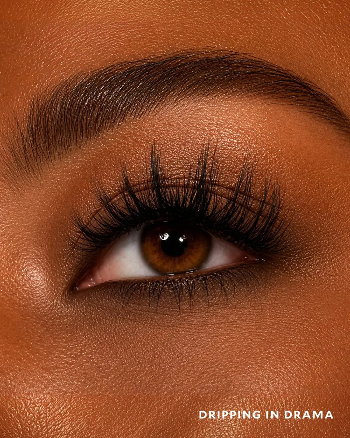 Close-up of a brown eye with long, spiky Dripping in Drama clusters and a groomed dark brow