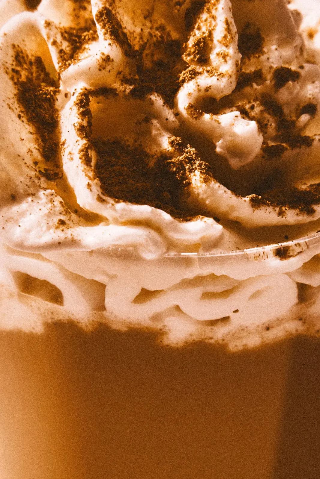 Whipped cream sprinkled with cinnamon spice on top of a creamy latte drink