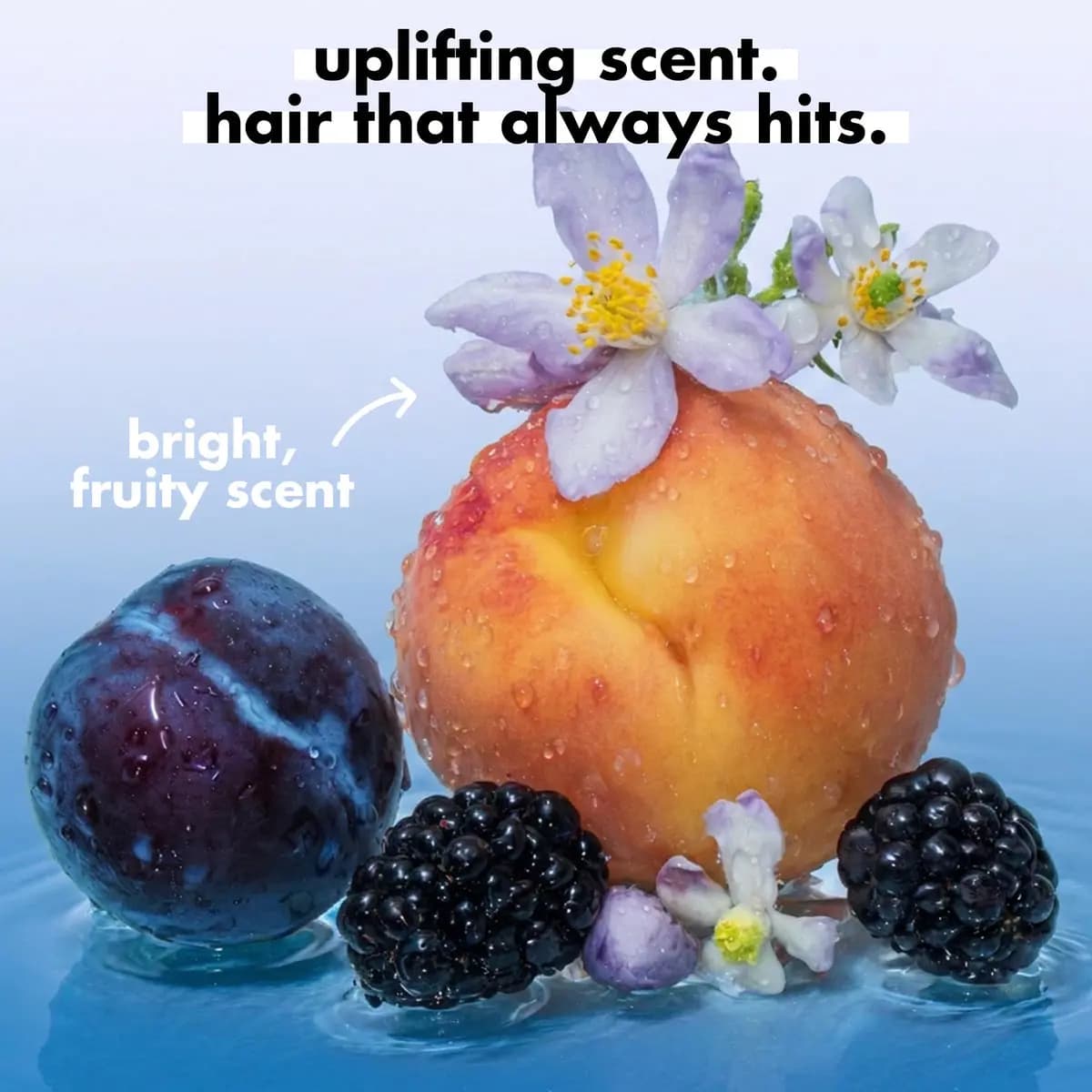 Wet peach, plum, blackberries and lilac blossoms on water illustrating a bright, fruity scent