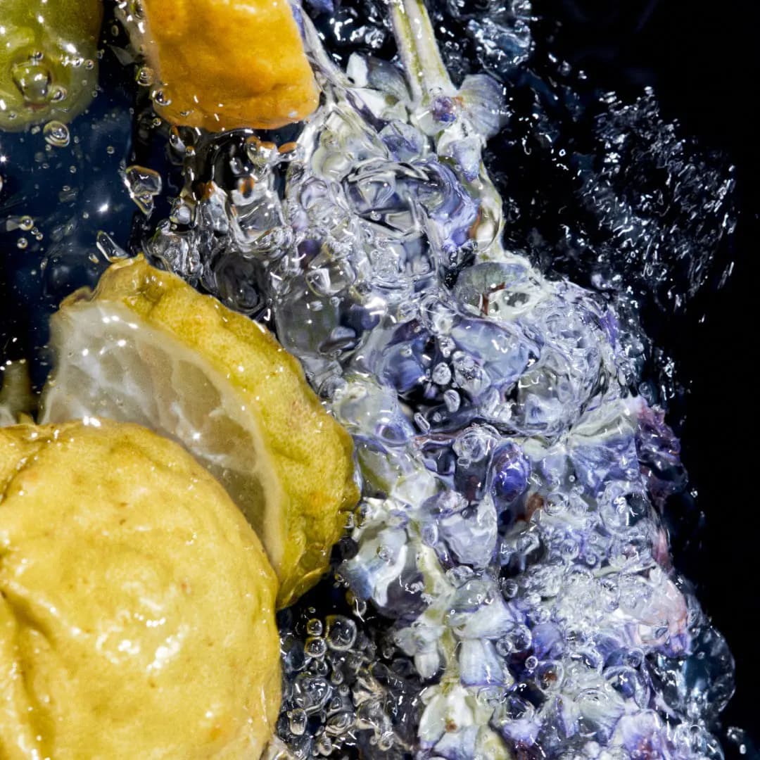Halved yellow citrus and purple lavender sprigs splashing in water against a black background