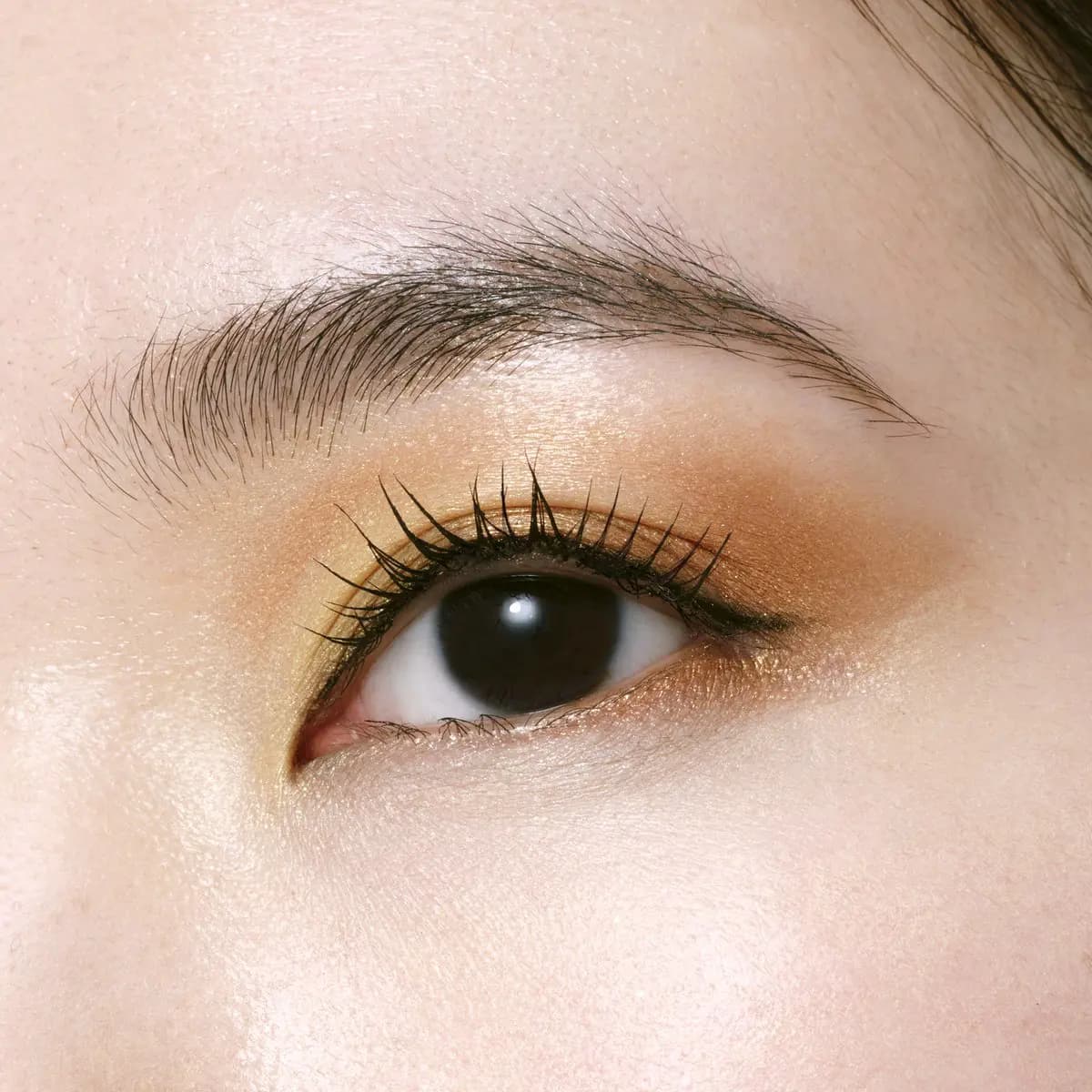 Close-up of an eye wearing blended gold and bronze shimmer shadow with black winged liner and defined lashes