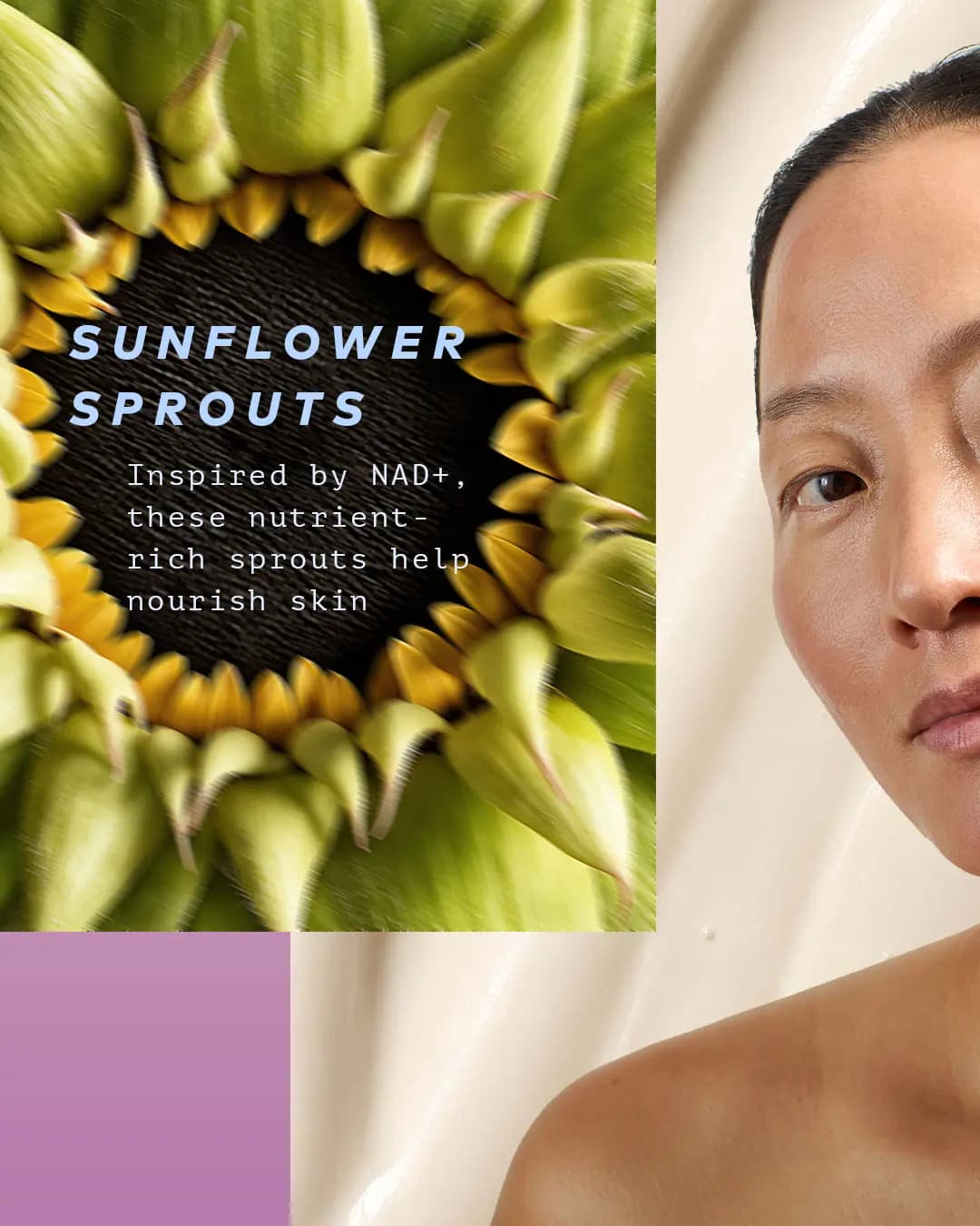 Close-up of a sunflower head with text about nutrient-rich sunflower sprouts, beside a woman's glowing face