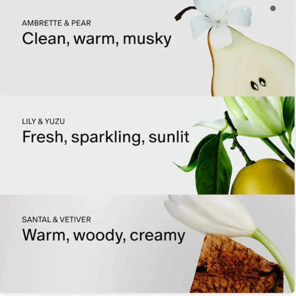 Three scent profile panels: Ambrette & Pear with pear, Lily & Yuzu with citrus, and Santal & Vetiver with wood