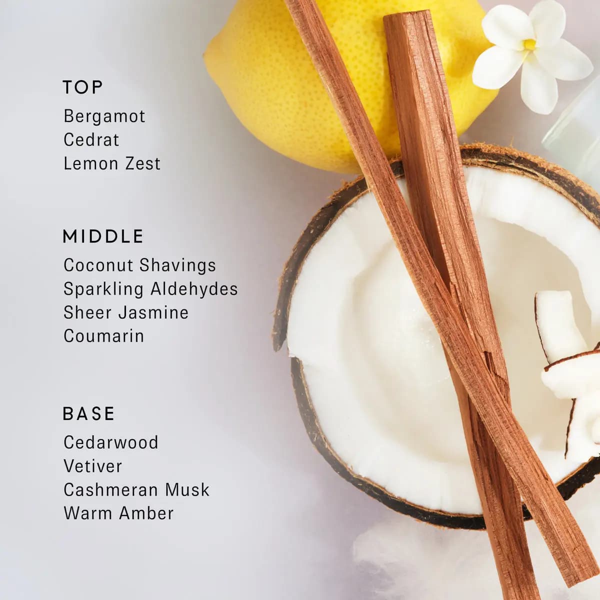 11 11 Moon fragrance notes beside lemon, palo santo sticks, coconut and jasmine on a pale grey backdrop.
