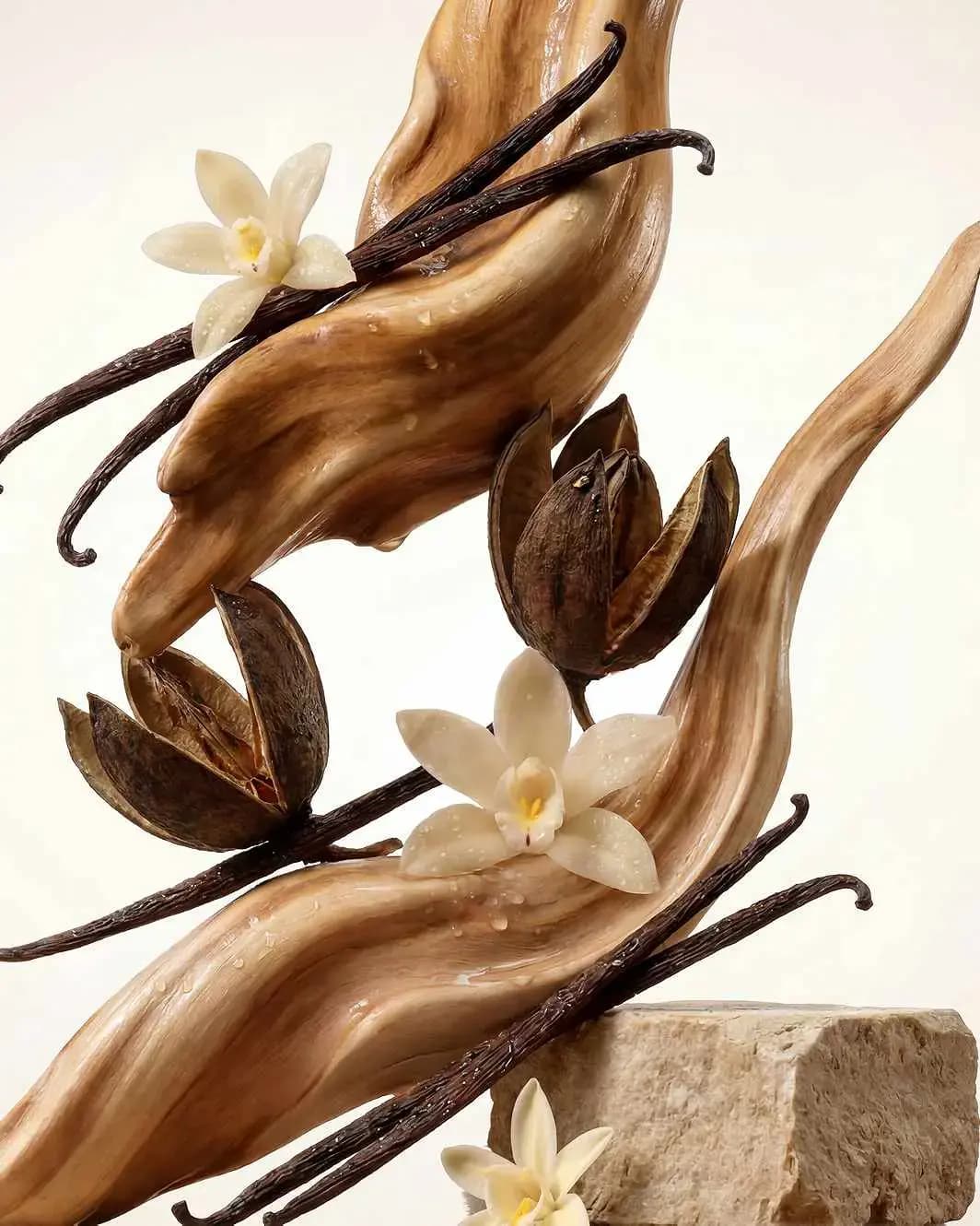 Sculpted swirls of glossy wood with vanilla pods, cream vanilla orchids and dried seed husks on a stone block