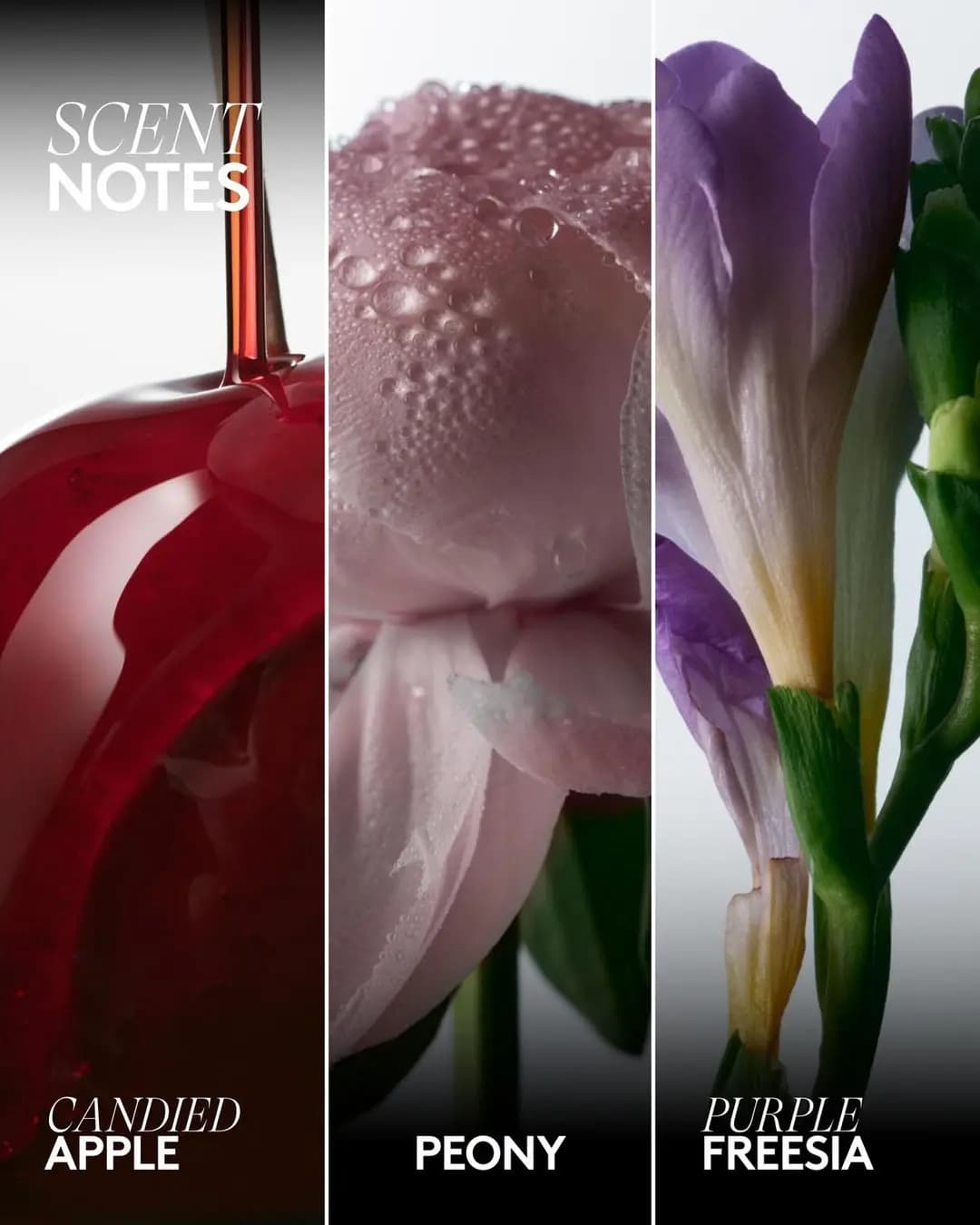 Triptych of scent notes labeled Candied Apple, Peony, and Purple Freesia showing a glossy red apple, dewy pink petals, and