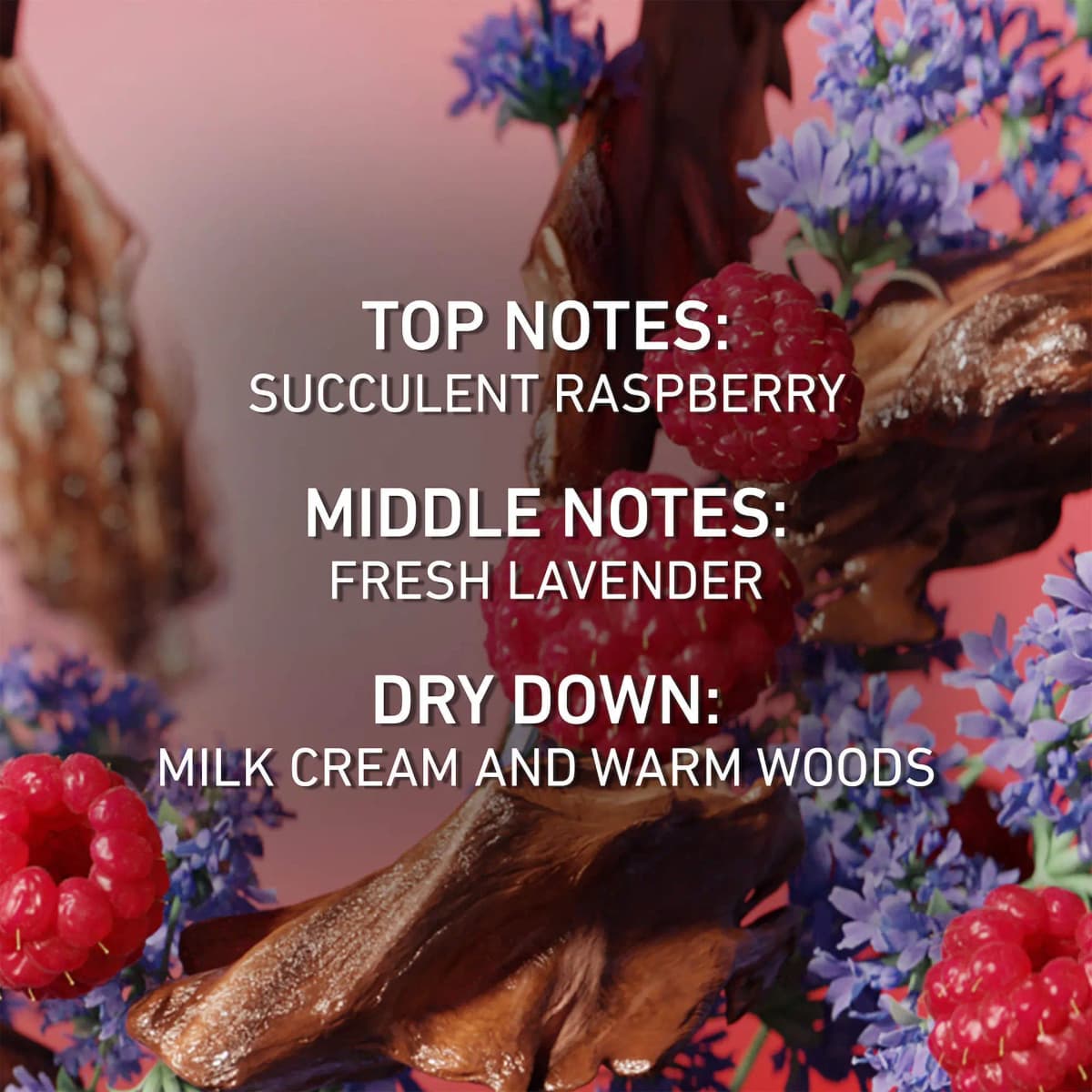 Fragrance notes text listing succulent raspberry, fresh lavender, milk cream and warm woods over berries and driftwood.