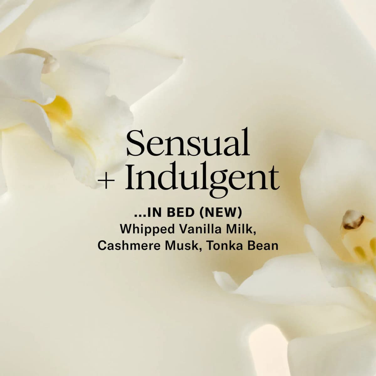 White orchid petals with text reading Sensual + Indulgent, In Bed, whipped vanilla milk, cashmere musk, tonka bean.