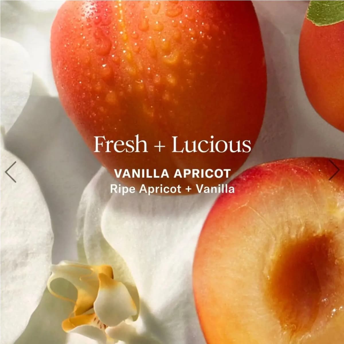 Dewy ripe apricots and a halved apricot with white orchids for the Vanilla Apricot scent, labelled Fresh + Lucious