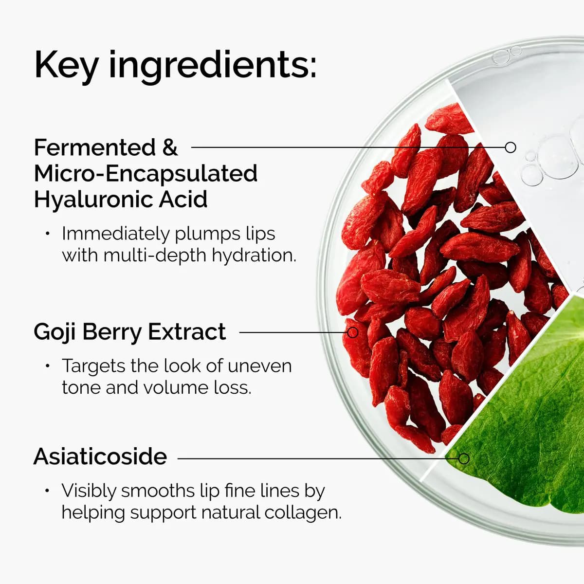 Key ingredients graphic: hyaluronic acid bubbles, red goji berries and a green leaf for asiaticoside in a dish