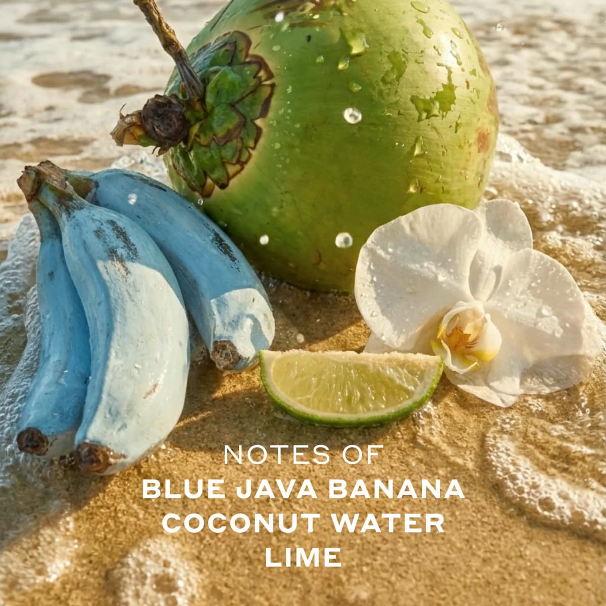 Blue java bananas, green coconut, lime wedge and white orchid on wet sand in surf, with text listing the scent notes