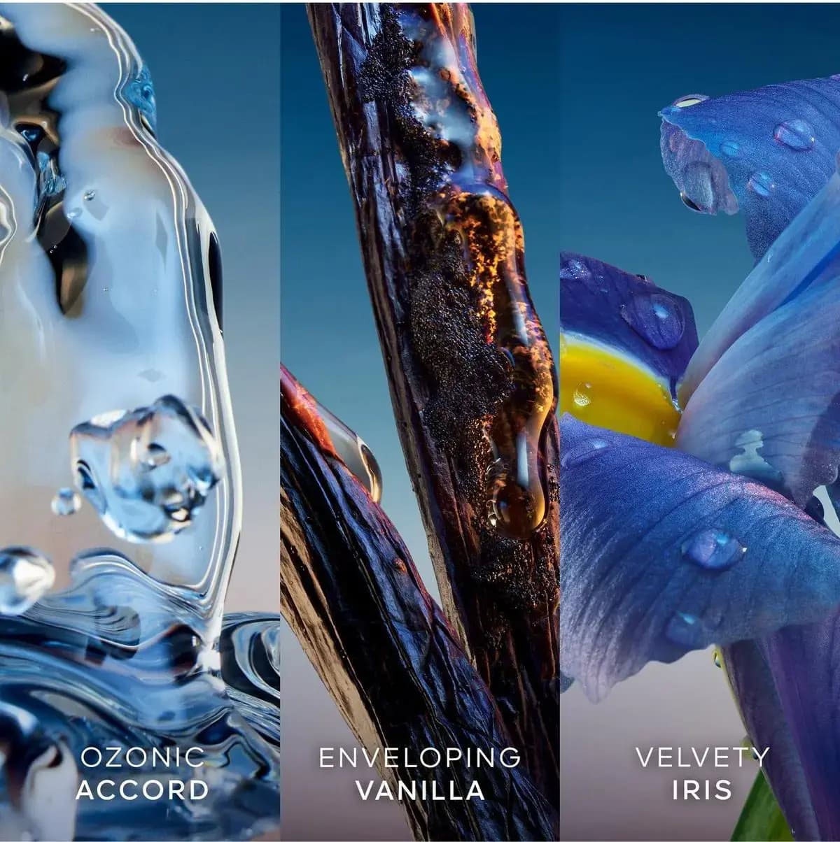Triptych of notes: rippling water for ozonic accord, glistening vanilla pod for vanilla, dewy purple bloom for iris.