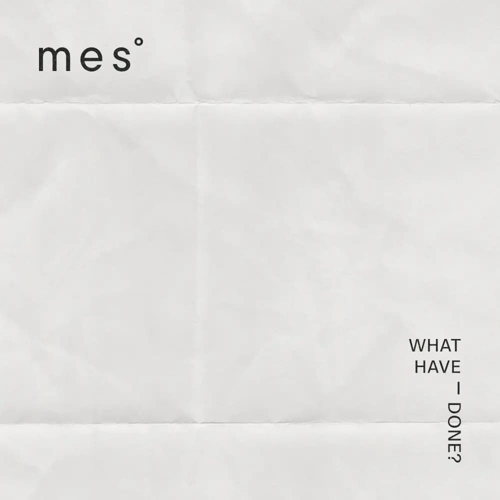 Mes° logo on creased white paper with vertical text reading "What have I done?