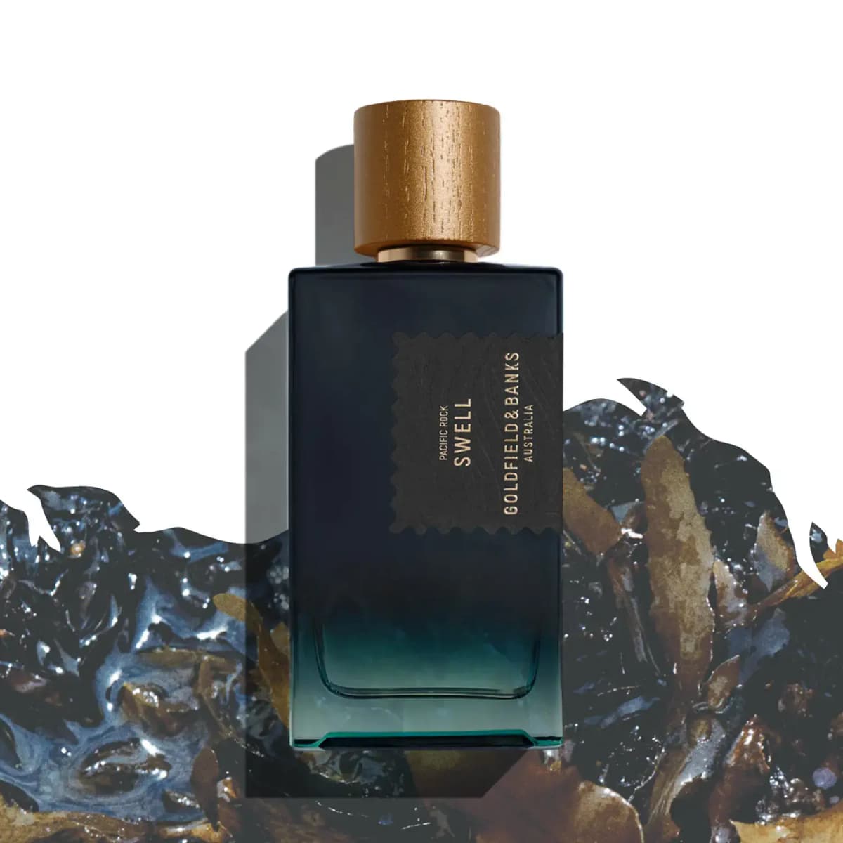 Pacific Rock Swell bottle standing over a cut-out band of glossy dark seaweed on a white backdrop