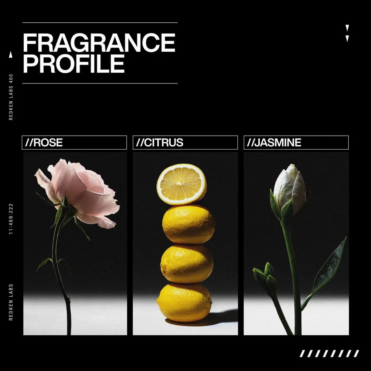 Fragrance profile panel showing a pink rose, stacked lemons and a white jasmine bud on black backgrounds