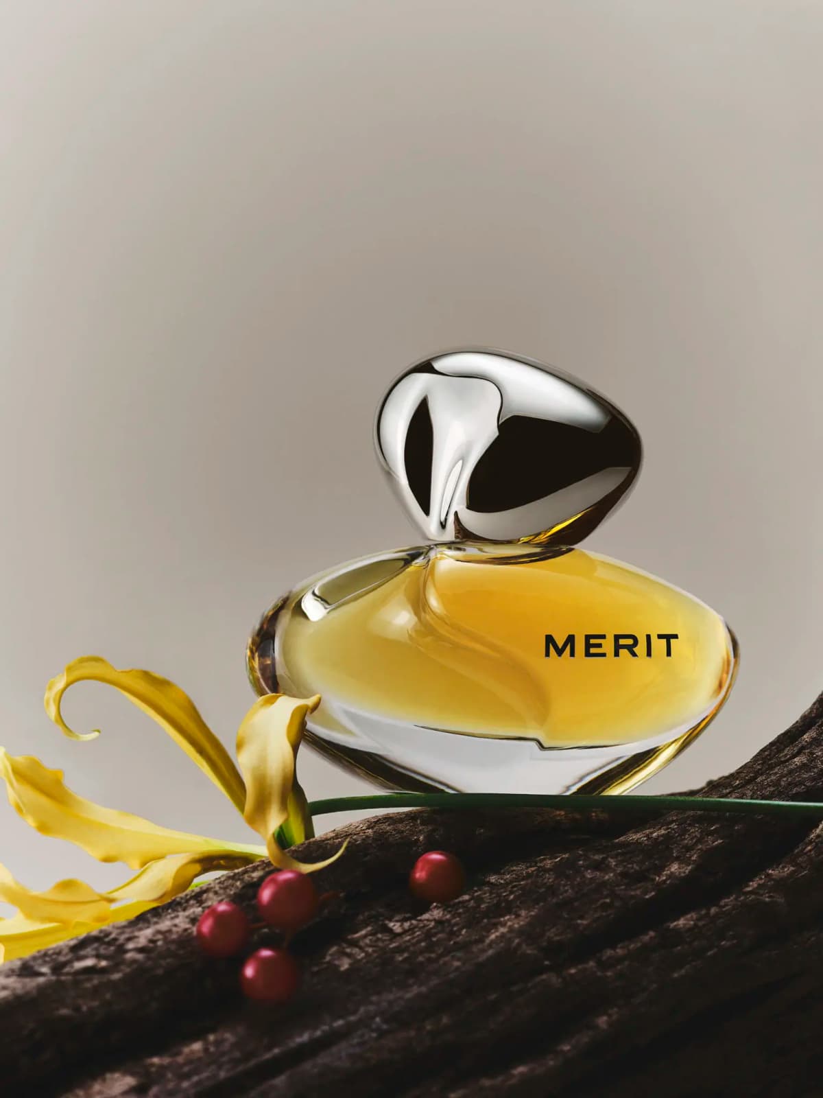 Bottle on dark tree bark beside a curling yellow flower and red berries against a soft taupe backdrop